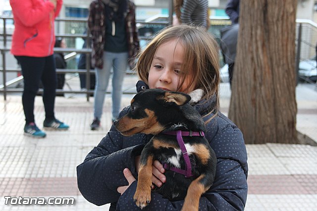 San Antn Totana 2016 - 246