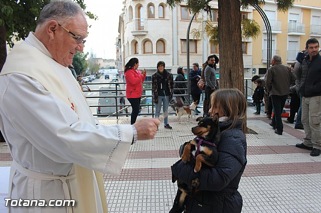 San Antn Totana 2016 - 247