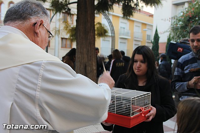 San Antn Totana 2016 - 248