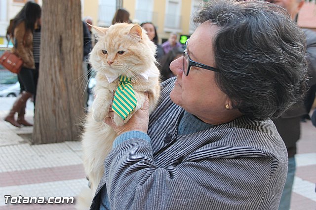 San Antn Totana 2016 - 252