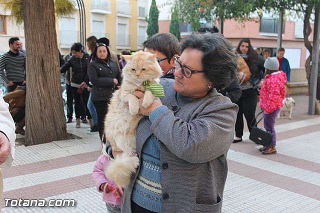 San Antn Totana 2016 - 254