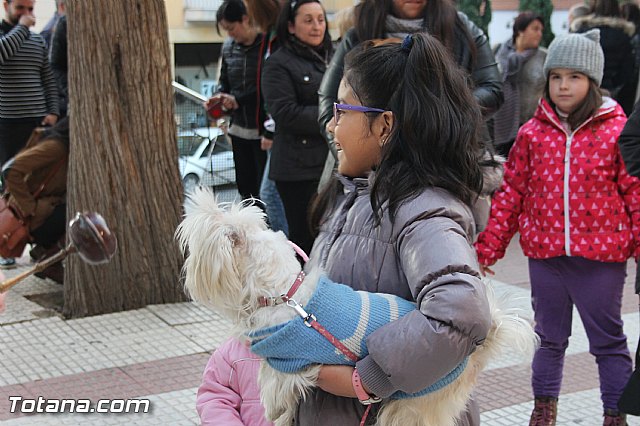 San Antn Totana 2016 - 256