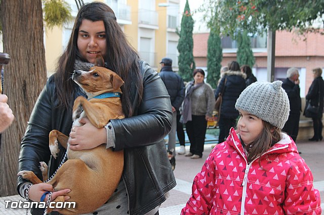 San Antn Totana 2016 - 257