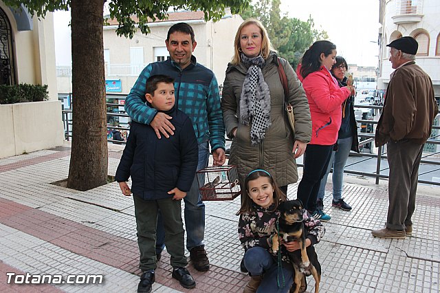 San Antn Totana 2016 - 258