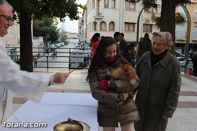 San Antn Totana 2016 - 262