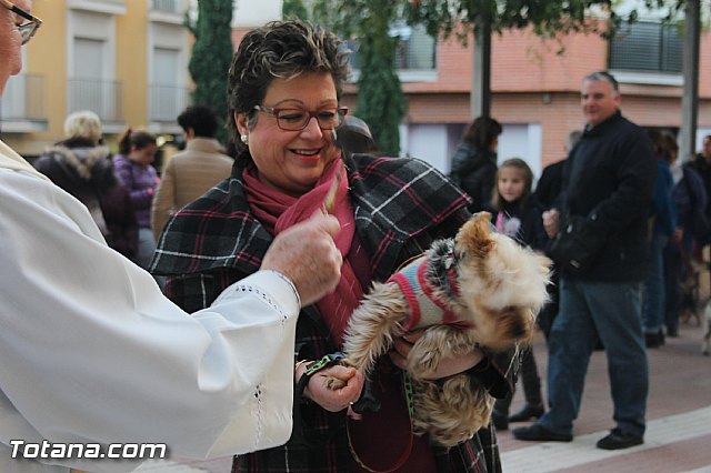 San Antn Totana 2016 - 266