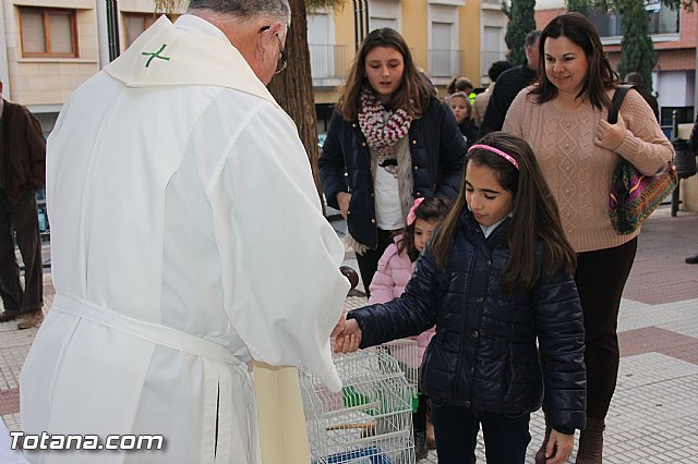 San Antn Totana 2016 - 268