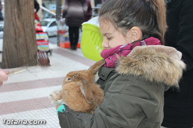 San Antn Totana 2016 - 271