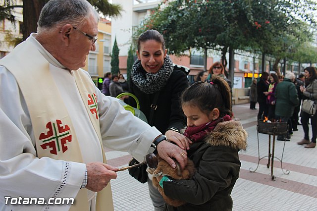 San Antn Totana 2016 - 272