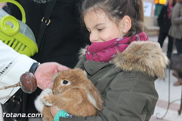 San Antn Totana 2016 - 273