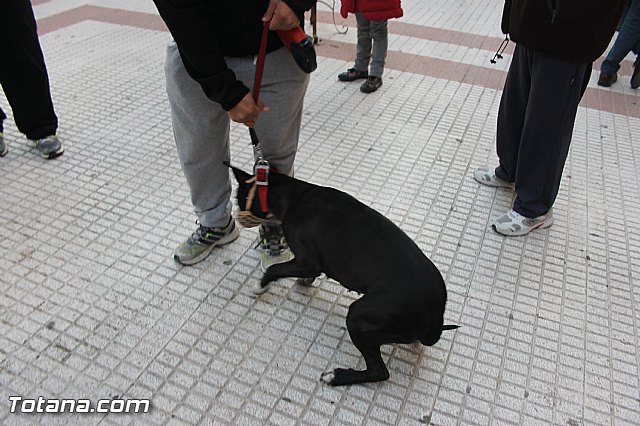 San Antn Totana 2016 - 280