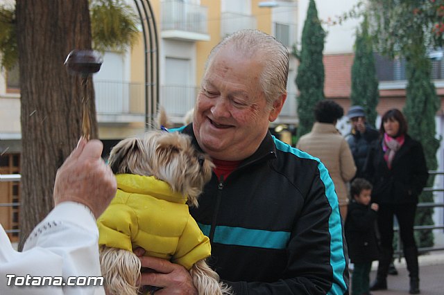 San Antn Totana 2016 - 282