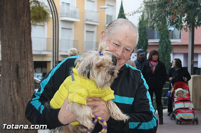 San Antn Totana 2016 - 283