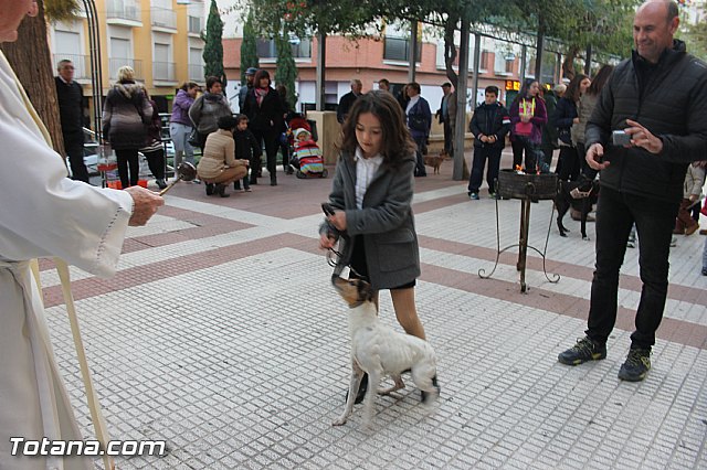 San Antn Totana 2016 - 285