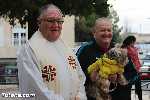 San Antn Totana 2016 - 287