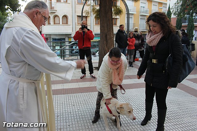 San Antn Totana 2016 - 290