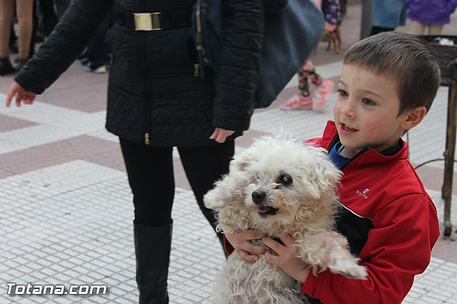 San Antn Totana 2016 - 291