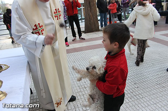 San Antn Totana 2016 - 292