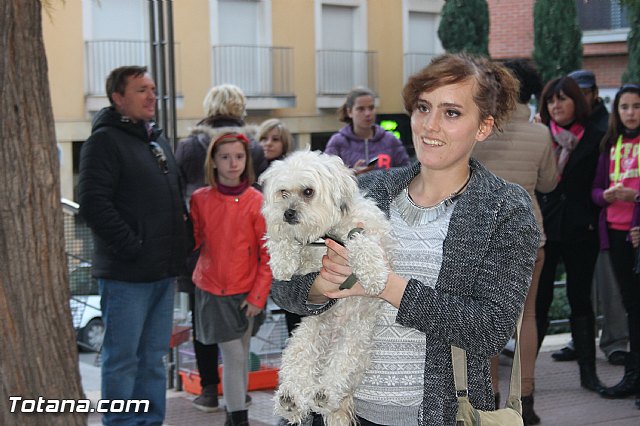 San Antn Totana 2016 - 294