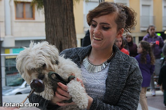 San Antn Totana 2016 - 296