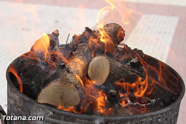 Bendicin animales San Antn 2017 - 5