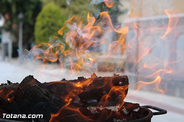 Bendicin animales San Antn 2017 - 8