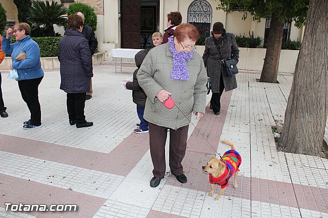 Bendicin animales San Antn 2017 - 24