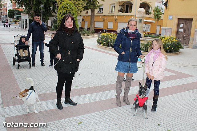 Bendicin animales San Antn 2017 - 32