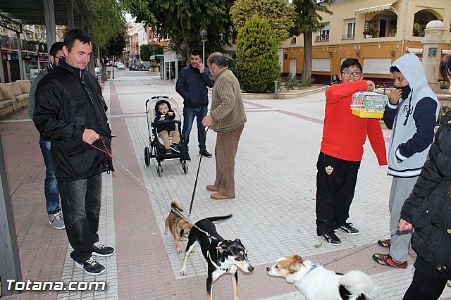 Bendicin animales San Antn 2017 - 37