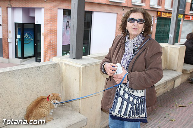 Bendicin animales San Antn 2017 - 39