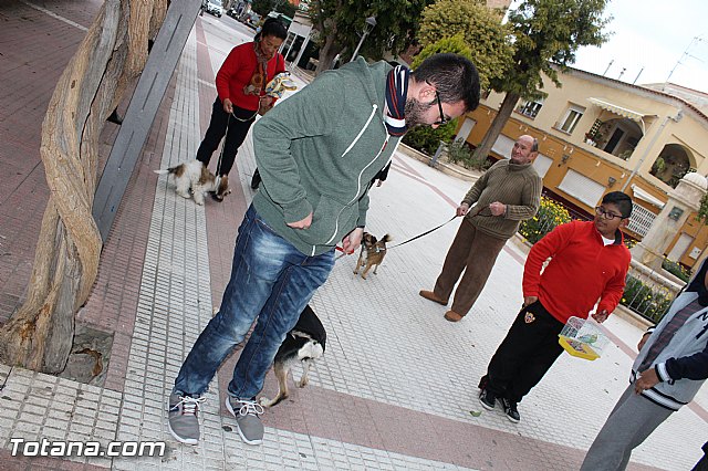 Bendicin animales San Antn 2017 - 40