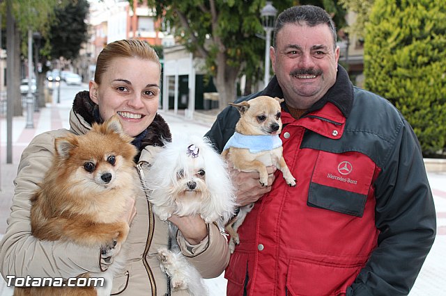 Bendicin animales San Antn 2017 - 44