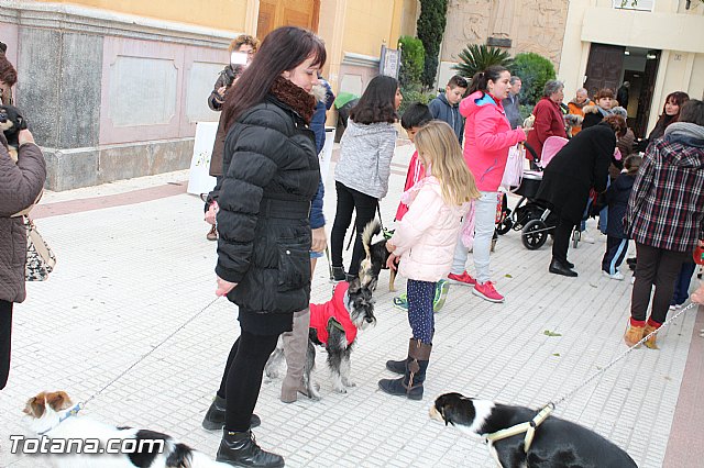 Bendicin animales San Antn 2017 - 45