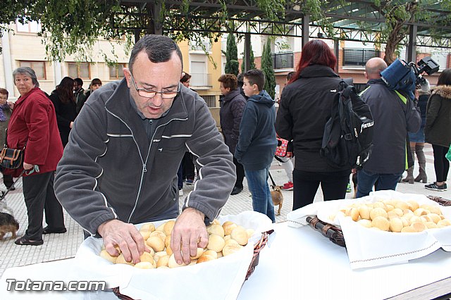 Bendicin animales San Antn 2017 - 49