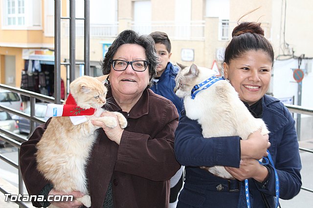 Bendicin animales San Antn 2017 - 53