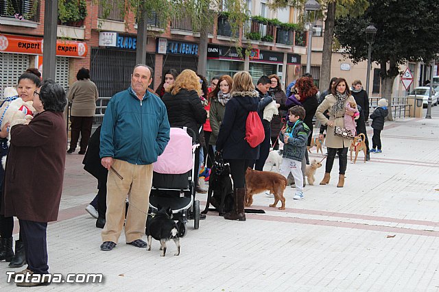 Bendicin animales San Antn 2017 - 61