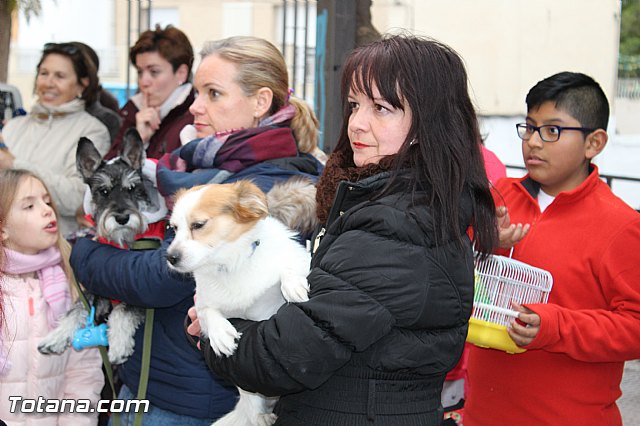 Bendicin animales San Antn 2017 - 64
