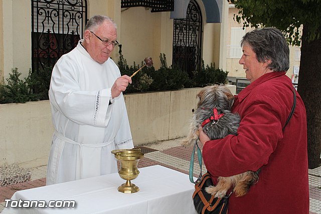 Bendicin animales San Antn 2017 - 65