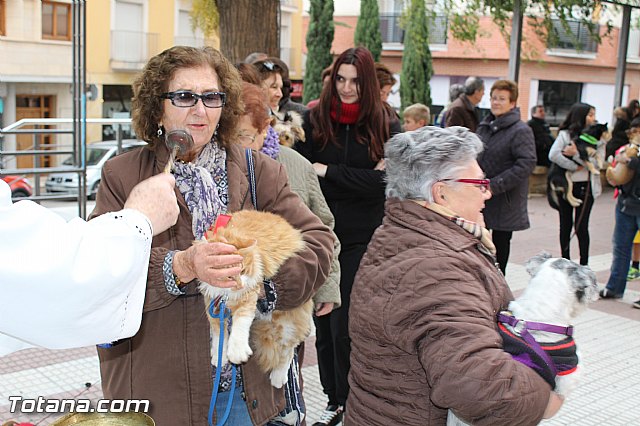 Bendicin animales San Antn 2017 - 69