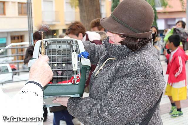 Bendicin animales San Antn 2017 - 73