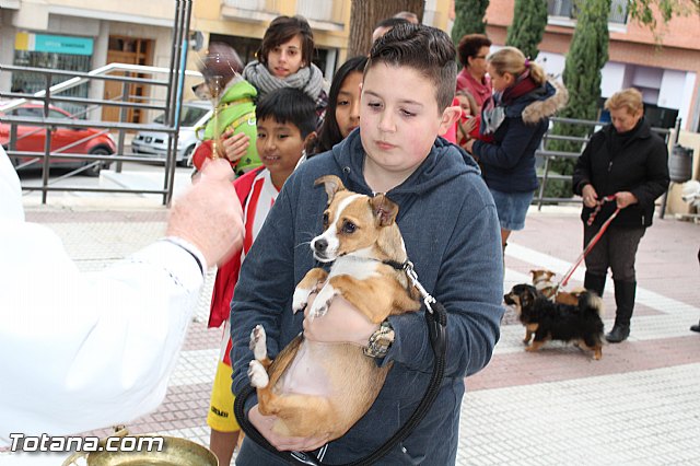 Bendicin animales San Antn 2017 - 77