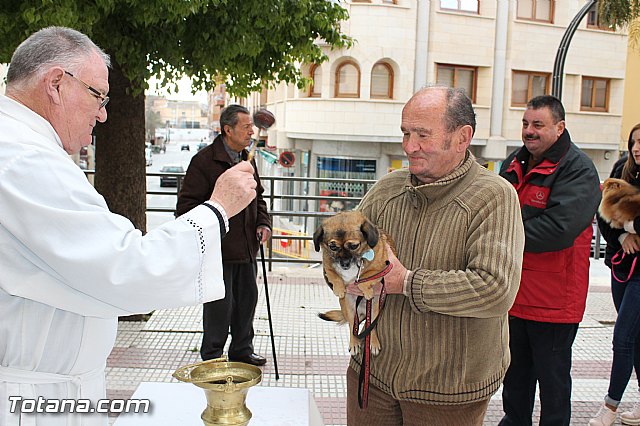 Bendicin animales San Antn 2017 - 86