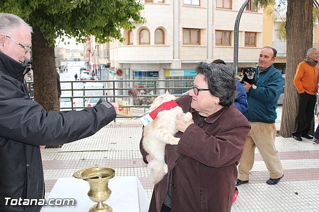 Bendicin animales San Antn 2017 - 94