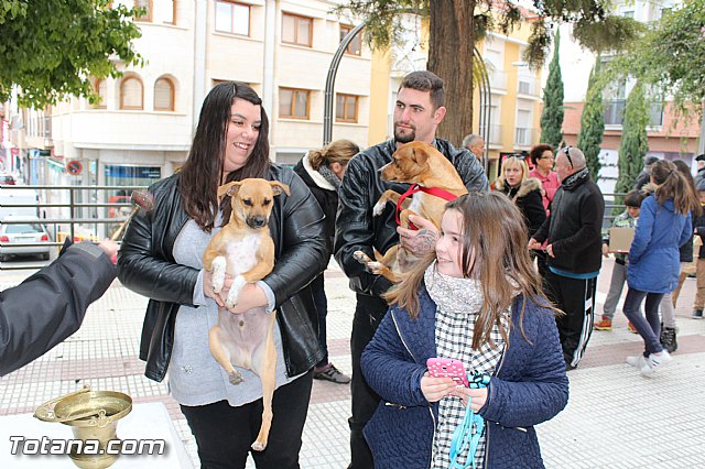 Bendicin animales San Antn 2017 - 110