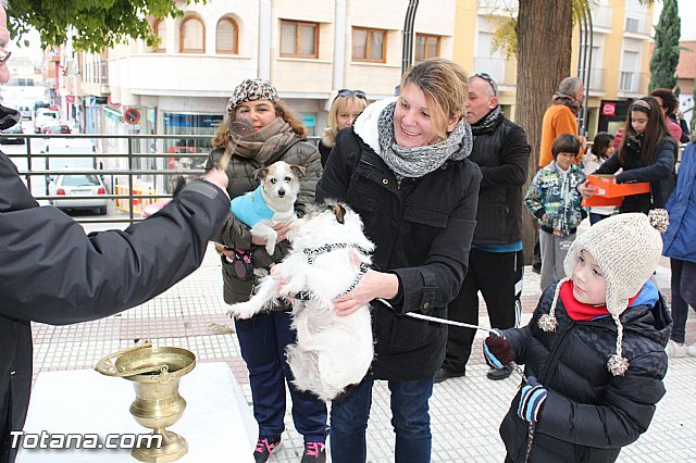 Bendicin animales San Antn 2017 - 113