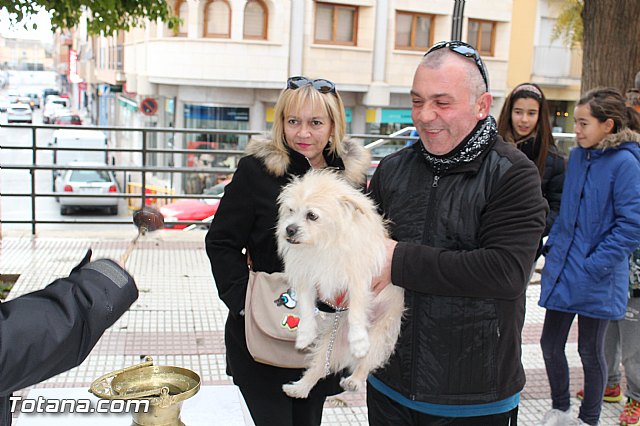 Bendicin animales San Antn 2017 - 115