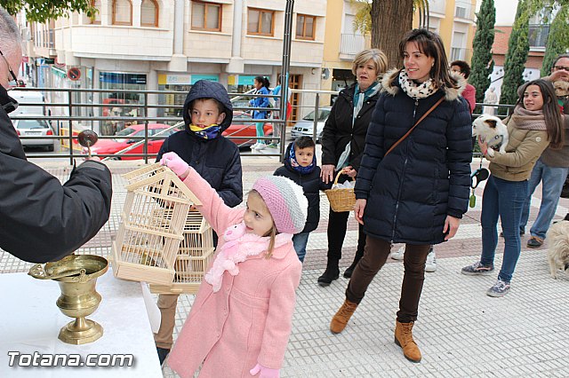 Bendicin animales San Antn 2017 - 117