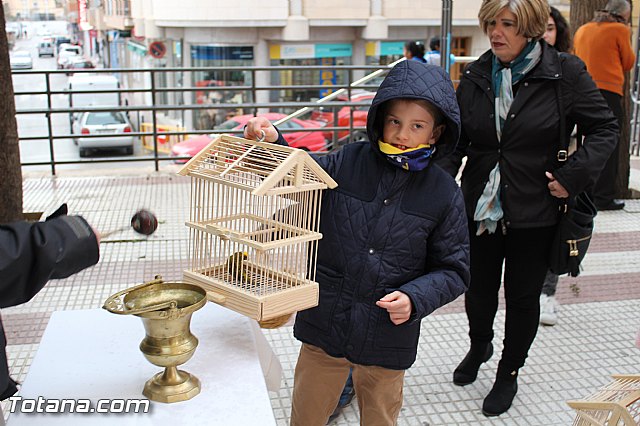 Bendicin animales San Antn 2017 - 118