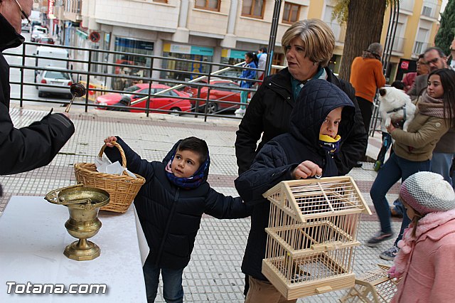 Bendicin animales San Antn 2017 - 119