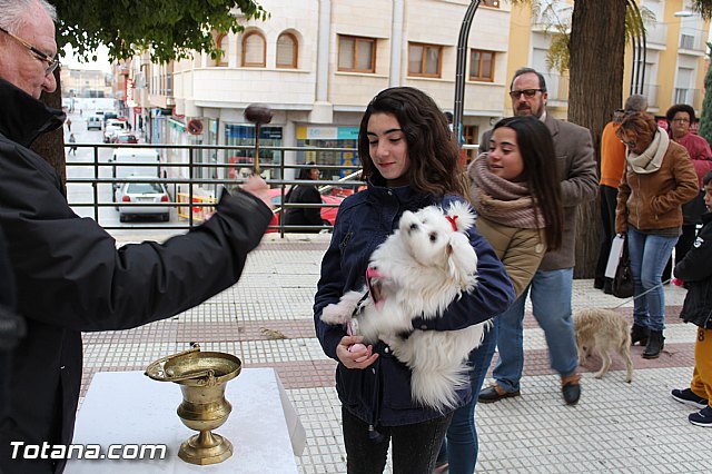 Bendicin animales San Antn 2017 - 120